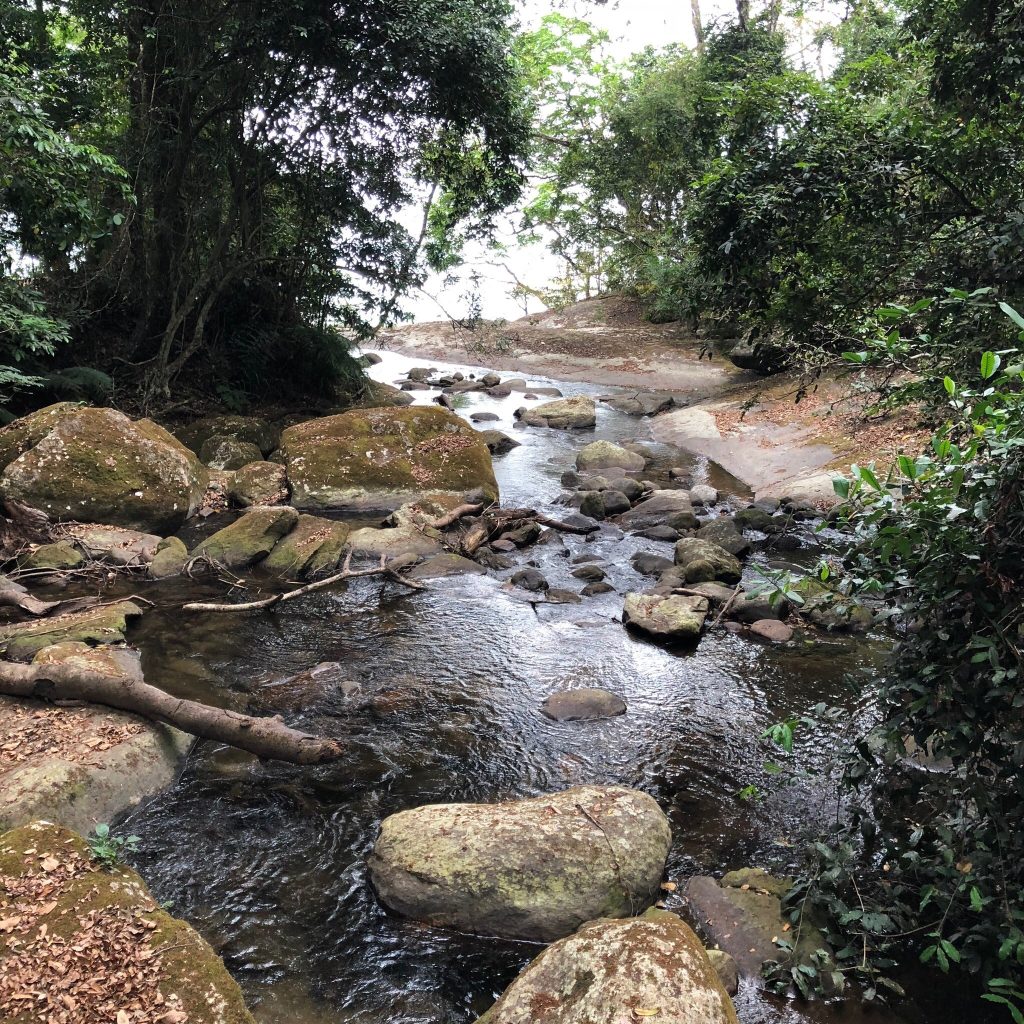 Boulder-strewn forest stream with a fallen log, Udzungwa Mountains National Park