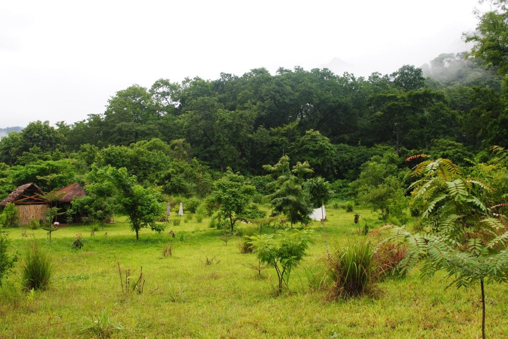 Camp clearing with a thatched hut below a misty ridge, Udzungwa Mountains National Park