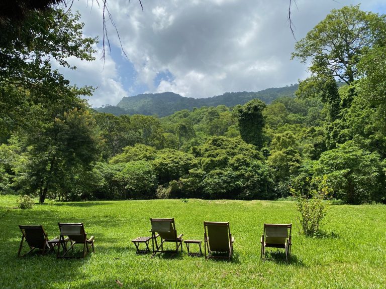 Deckchairs on a lawn facing a forested mountain ridge, Udzungwa Mountains National Park
