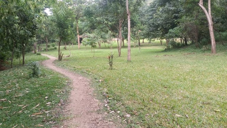 Dirt footpath curving through a grassy campsite clearing, Udzungwa Mountains National Park