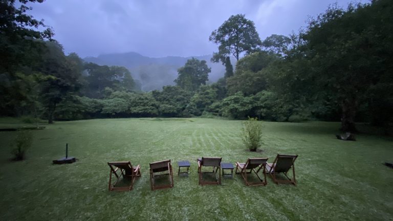 Empty deck chairs on a wet lawn in evening mist, Udzungwa Mountains National Park