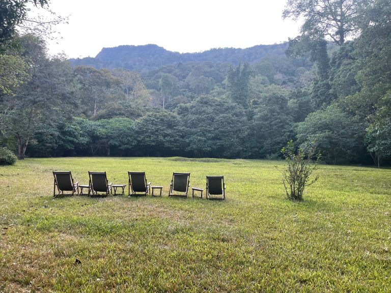 Five deck chairs on a lawn facing the forest, Udzungwa Mountains National Park