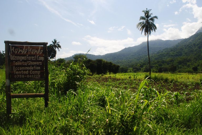 Forest camp signboard in grass below the mountain, Udzungwa Mountains National Park