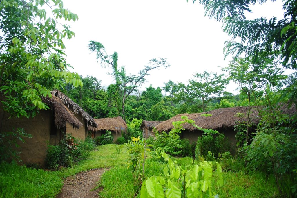 Grass path between thatched mud-walled bandas, Udzungwa Mountains National Park