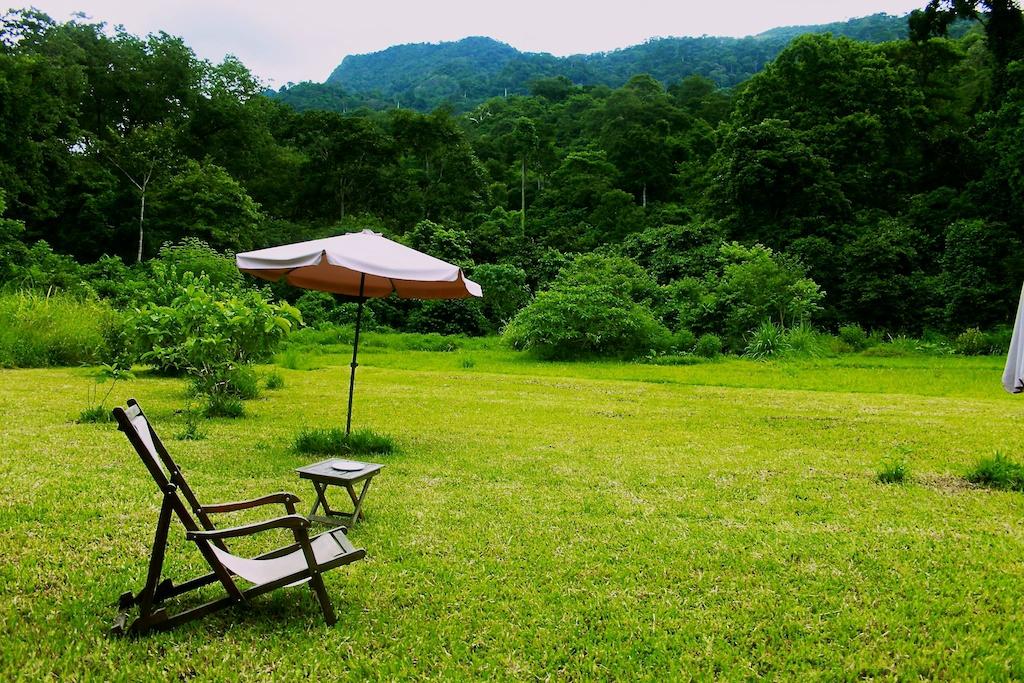 Lawn deckchair under a parasol facing forested hills, Udzungwa Mountains National Park