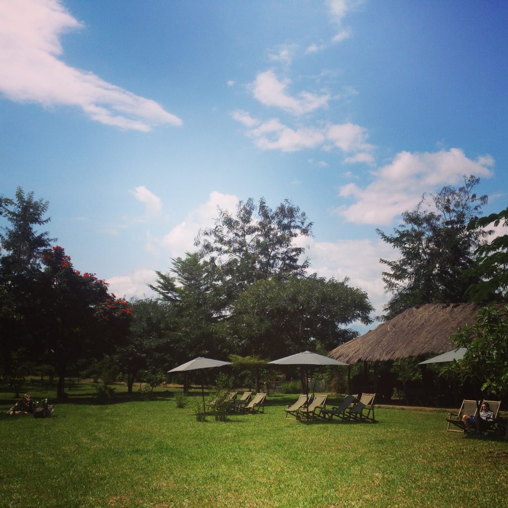 Lawn with white parasols and sun loungers, Udzungwa Mountains National Park