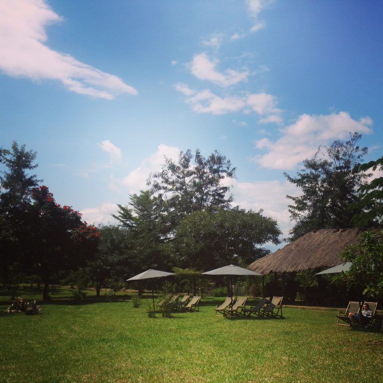 Lawn with white parasols and sun loungers, Udzungwa Mountains National Park