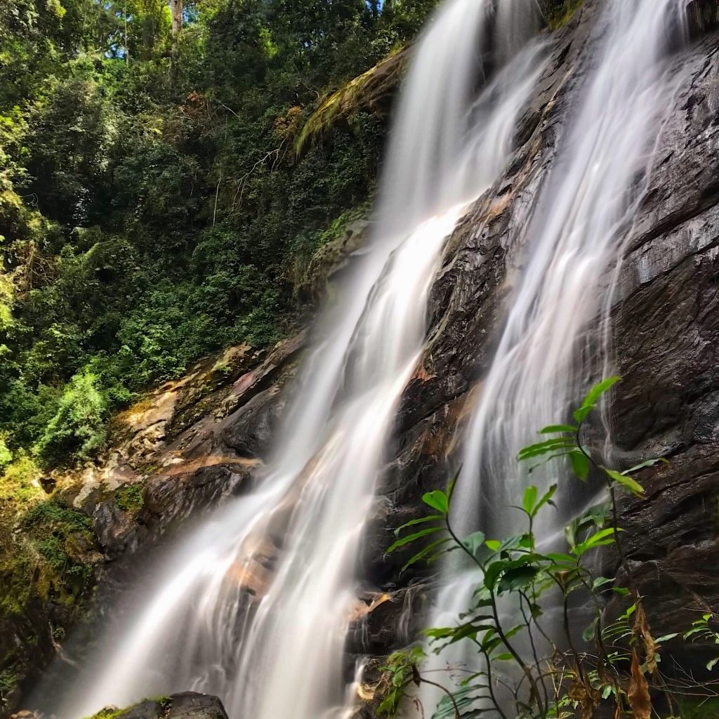 Long-exposure cascade over dark mossy rock, Udzungwa Mountains National Park
