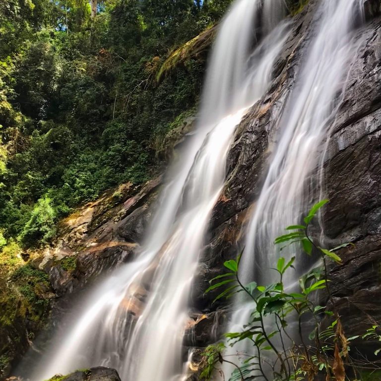 Long-exposure cascade over dark mossy rock, Udzungwa Mountains National Park