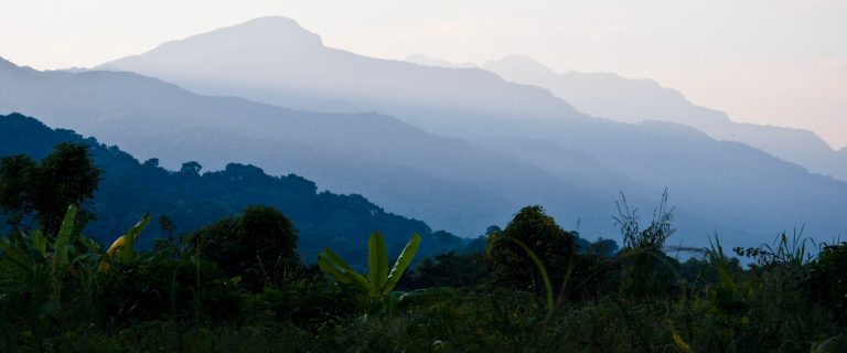 Misty layered ridges above banana plants, Udzungwa Mountains National Park