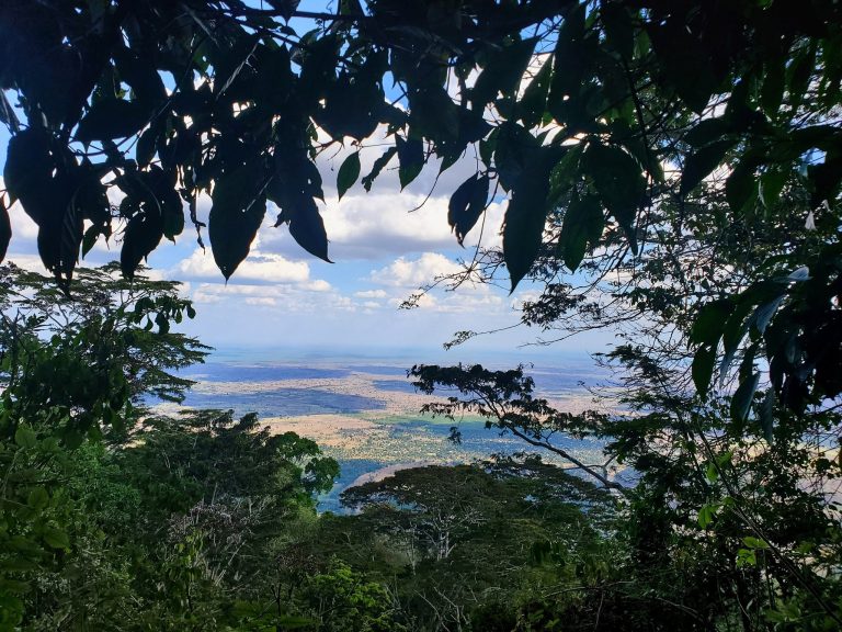Plains view framed by dark forest leaves, Udzungwa Mountains National Park