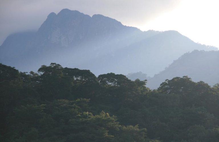 Rocky peak above a misty rainforest canopy, Udzungwa Mountains National Park