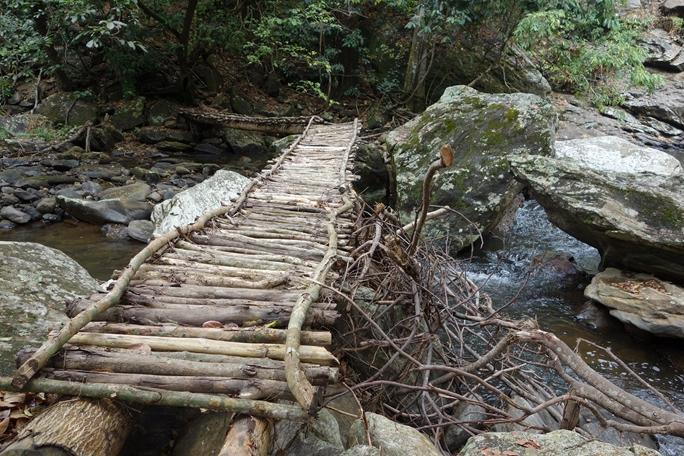 Rustic log footbridge over a rocky stream, Udzungwa Mountains National Park