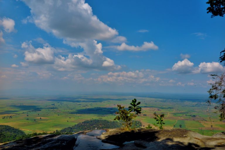 Sapling on a rock ledge above sunlit plains, Udzungwa Mountains National Park