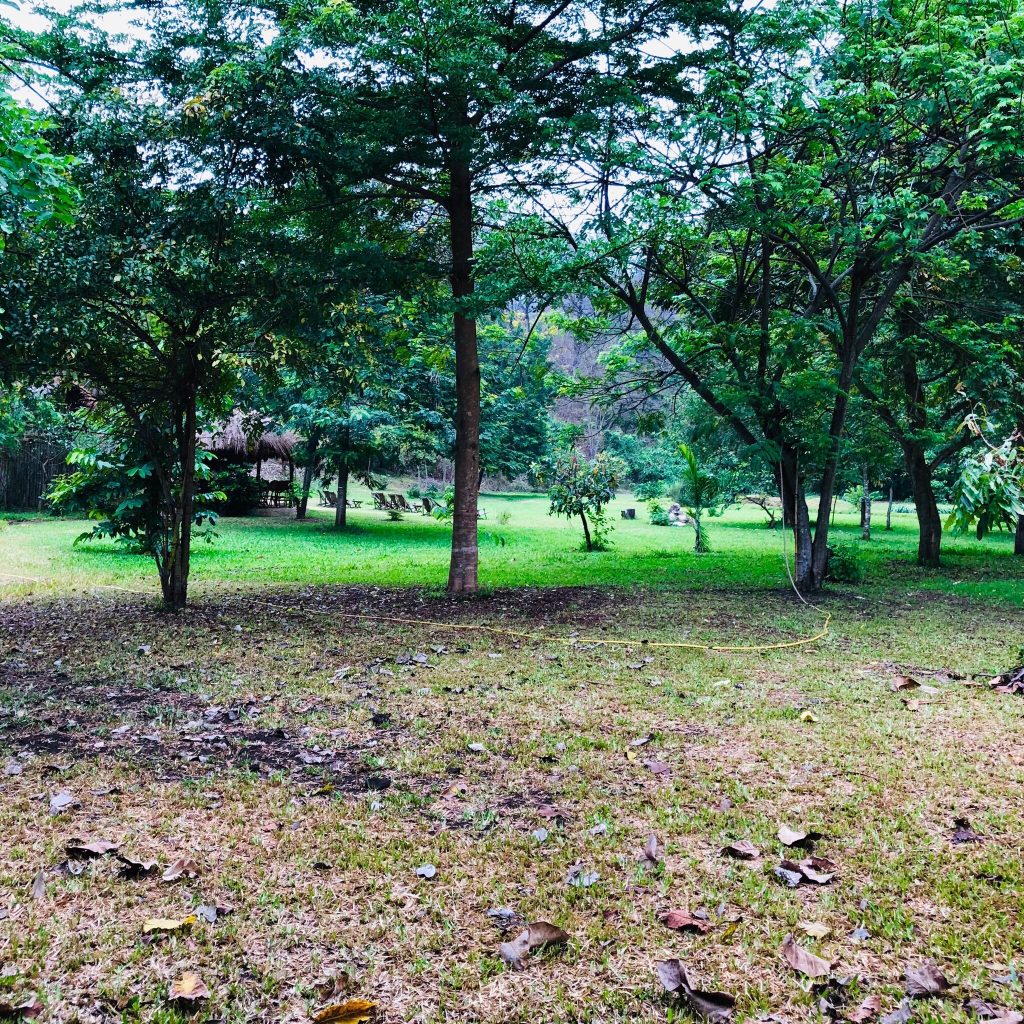 Shaded lawn with loungers and a thatched banda, Udzungwa Mountains National Park