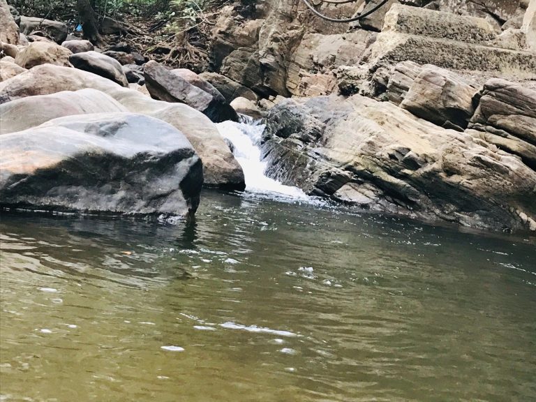 Small cascade spilling into a green rock pool, Udzungwa Mountains National Park