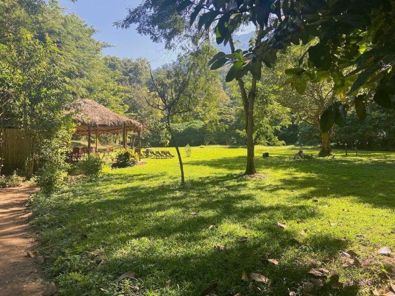 Sunlit camp lawn with a thatched banda, Udzungwa Mountains National Park