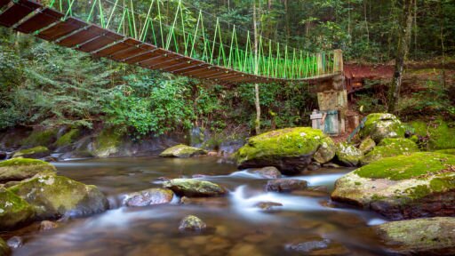 Suspension footbridge over a mossy boulder stream, Udzungwa Mountains National Park