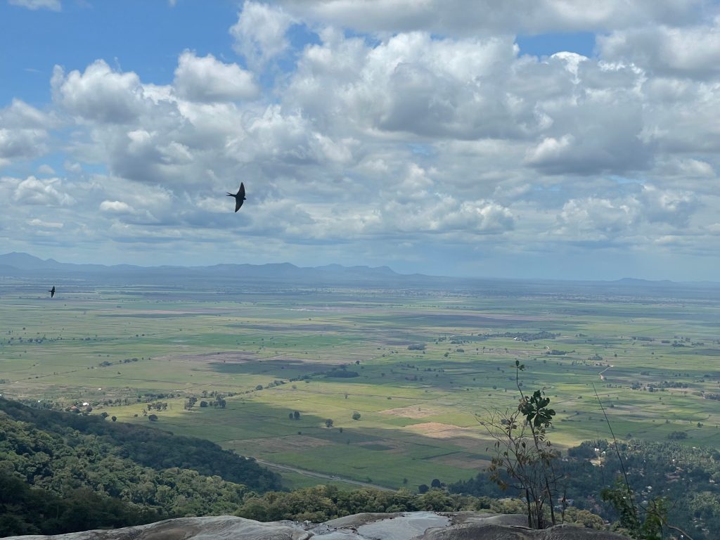 Swifts over the farmland plain seen from a rocky viewpoint, Udzungwa Mountains National Park