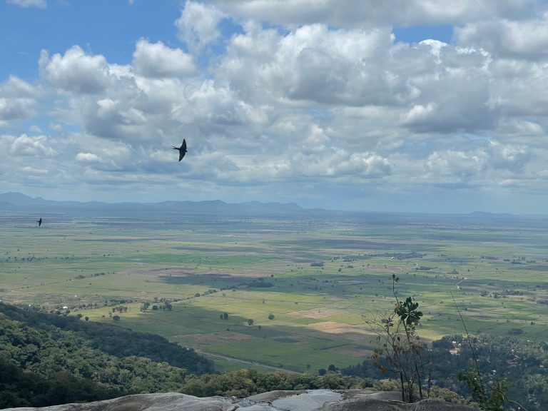 Swifts over the farmland plain seen from a rocky viewpoint, Udzungwa Mountains National Park
