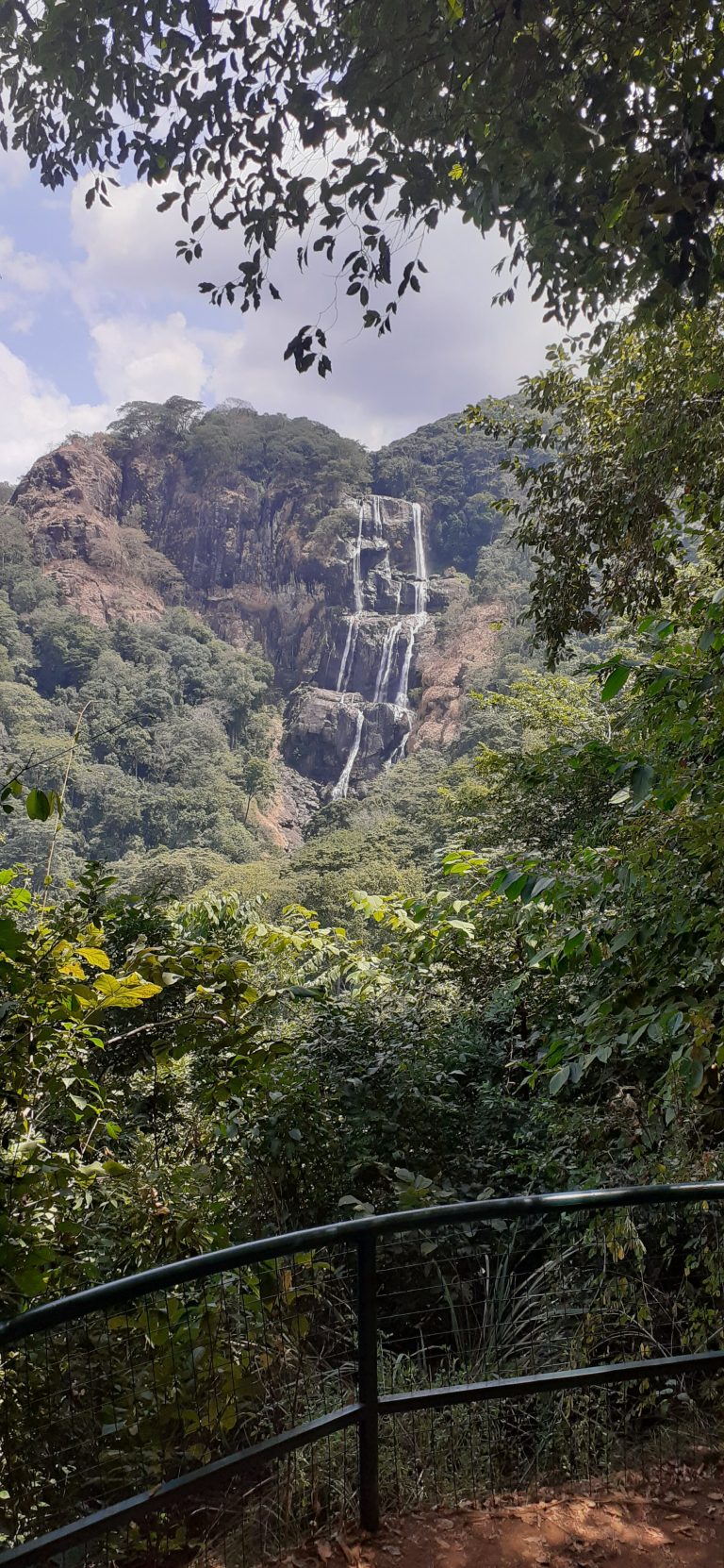 Tall tiered waterfall seen from a railed viewpoint, Udzungwa Mountains National Park