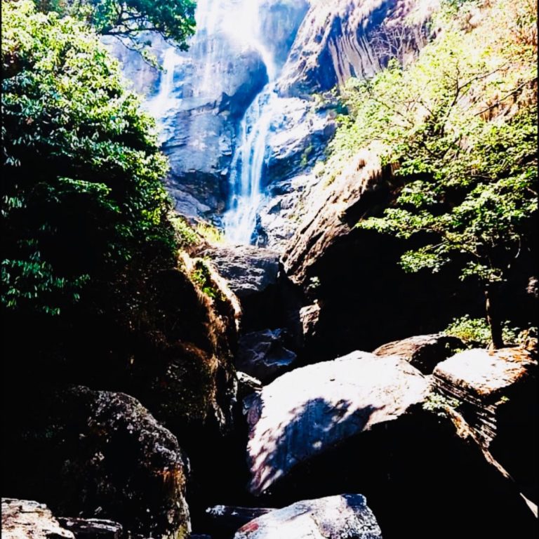 Tall waterfall framed by sunlit trees, Udzungwa Mountains National Park