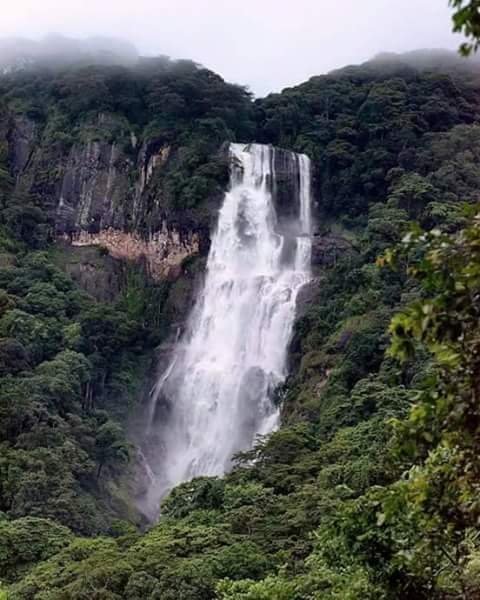 Tall waterfall plunging through a misty forest valley, Udzungwa Mountains National Park
