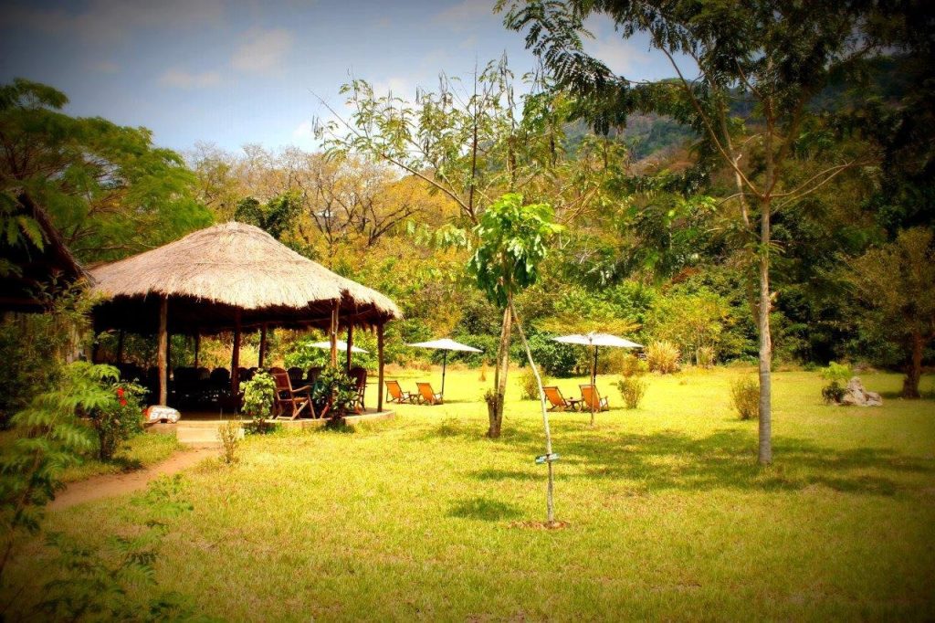 Thatched bar banda on the lawn with umbrellas, Udzungwa Mountains National Park