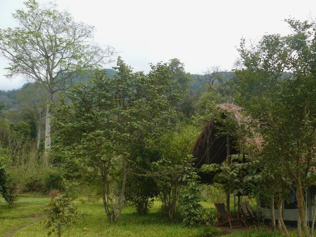 Thatched camp building below a misty forest ridge, Udzungwa Mountains National Park