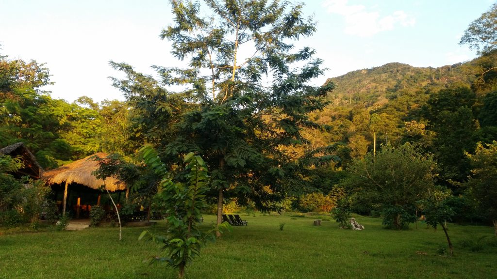 Thatched dining banda on the lawn below a forested hill, Udzungwa Mountains National Park