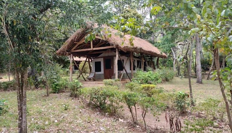 Thatched-roof safari tent among forest trees, Udzungwa Mountains National Park