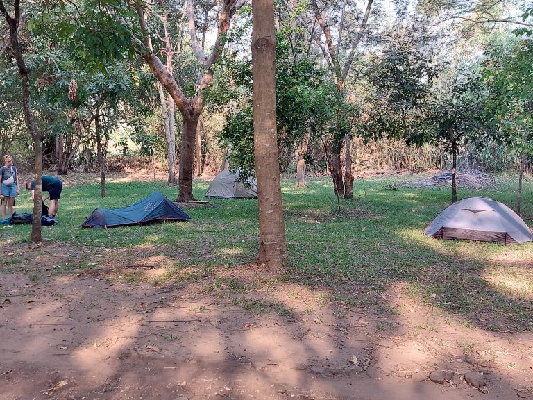Three dome tents and two campers packing up under the trees, Udzungwa Mountains National Park