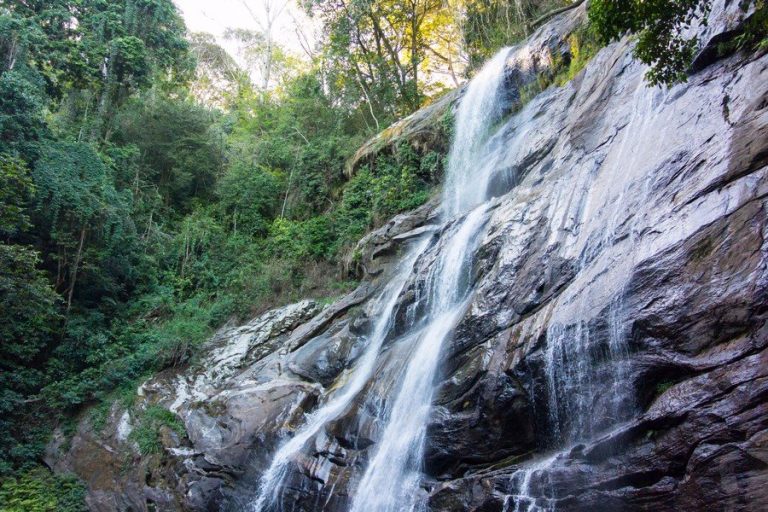 Waterfall streaming down a mossy rock face beside rainforest, Udzungwa Mountains National Park